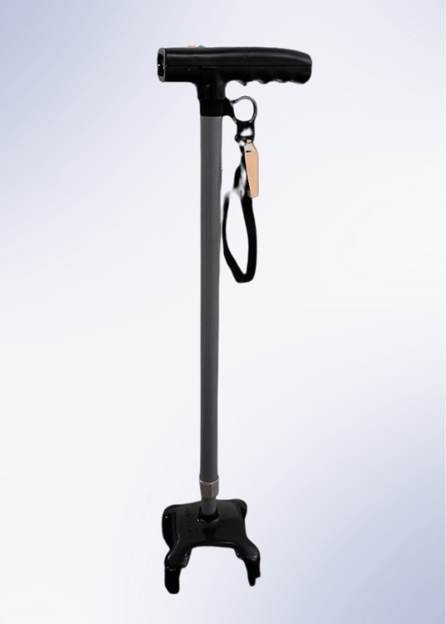 AmiCane healthsafetech.com